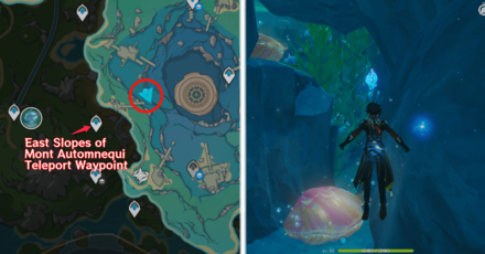 Genshin Impact - Hydroculus 206