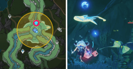 Genshin Impact - Wilting Weeping Willow - Find a Xenochromatic Hunter Ray