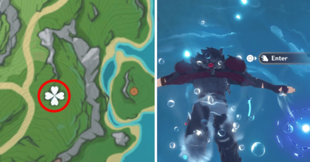 Genshin Impact - Foggy Forest Branch Location 5