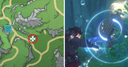 Genshin Impact - Foggy Forest Branch Location 3