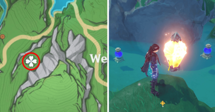 Genshin Impact - Foggy Forest Branch Location 2