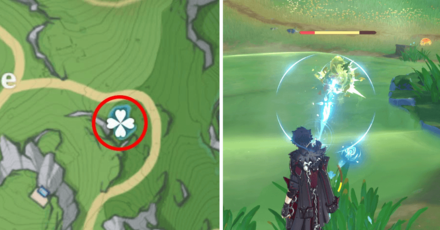 Genshin Impact - Foggy Forest Branch Location 6