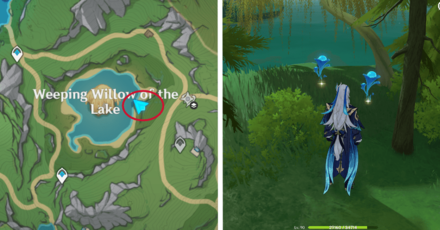 Genshin - Lakelight Lily 34-35