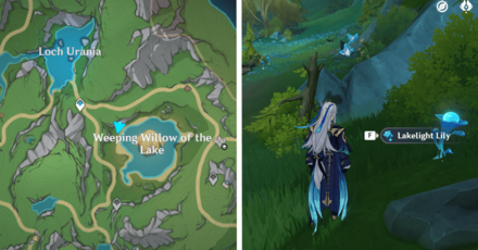 Genshin Impact - Lakelight Lily 21-24