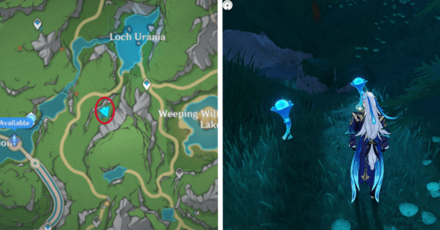 Genshin - Lakelight Lily 18-19