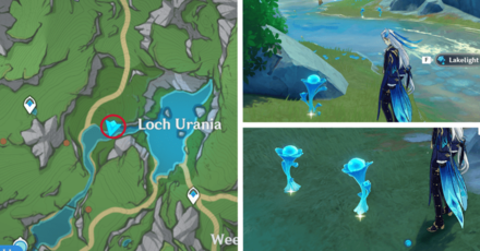 Genshin - Lakelight Lily 4-6