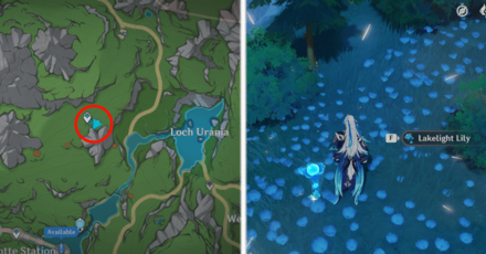 Genshin Impact - Lakelight Lily 3