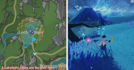 Genshin Impact - Lakelight Lily 10-12