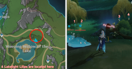 Genshin Impact - Lakelight Lily 21-24
