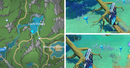 Genshin - Lakelight Lily 15-17