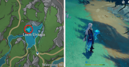 Genshin Impact - Lakelight Lily 7