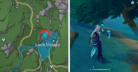 Genshin Impact - Lakelight Lily 8,9