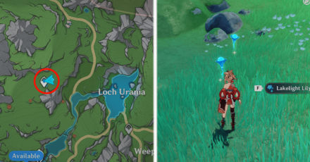 Genshin Impact - Lakelight Lily 1,2