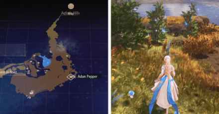 Tales of Arise - Beyond the Dawn Life