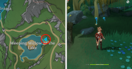 Genshin Impact - Lakelight Lily 31,32