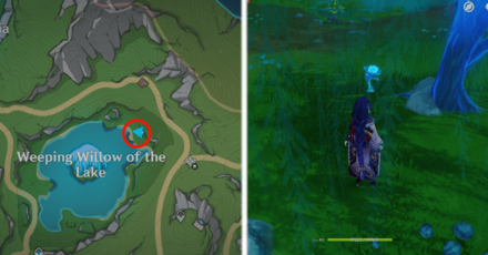 Genshin Impact - Lakelight Lily 29