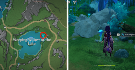 Genshin Impact - Lakelight Lily 30,33