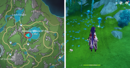 Genshin - Lakelight Lily 49-50