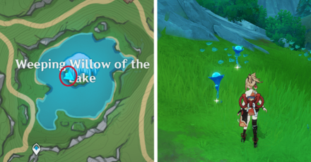 Genshin - Lakelight Lily 41-42