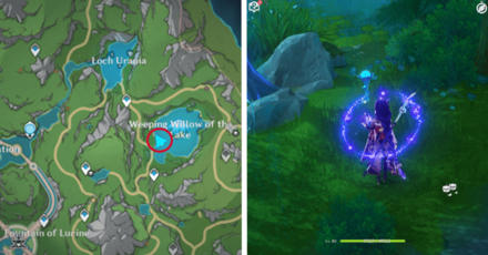 Genshin - Lakelight Lily 43