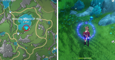 Genshin - Lakelight Lily 53