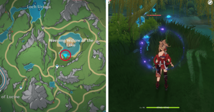 Genshin - Lakelight Lily 55-56