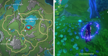 Genshin - Lakelight Lily 58