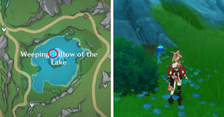 Genshin - Lakelight Lily 37