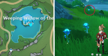 Genshin - Lakelight Lily 38-40