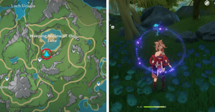 Genshin - Lakelight Lily 57