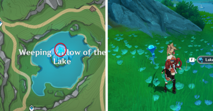 Genshin - Lakelight Lily 36