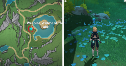 Genshin - Lakelight Lily 48