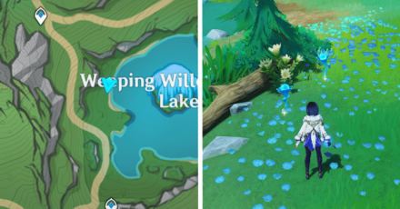 Genshin - Lakelight Lily 46-47