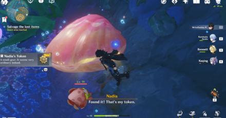 Genshin Impact - Wish-Fulfilling Treasure Hunt - Find Nadia