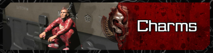Modern Warfare 3 Charms