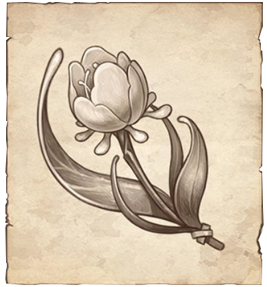 Genshin - Rainbow Rose