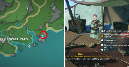 Genshin - Mysterious Xenochromatic Crystal - Sell to Pitot