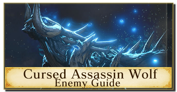 Cursed Assassin Wolf Enemy Guide