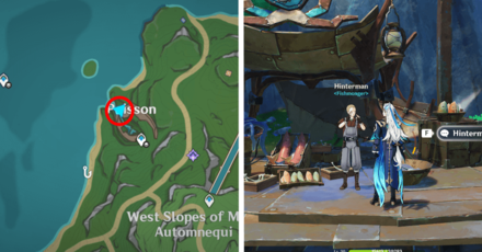 Genshin - Hinterman