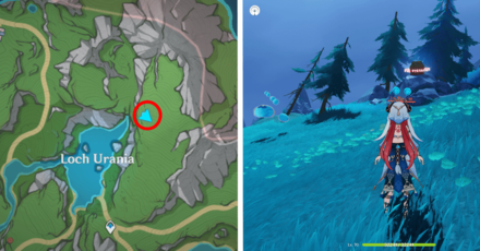 Genshin - Fontaine Remarkable Chest 39