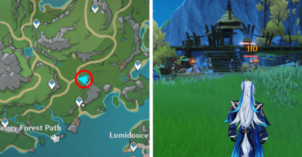 Genshin - Fontaine Remarkable Chest 43