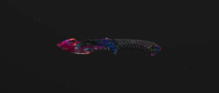 Modern Warfare 3 (MW3) - Interstellar Gutter Knife