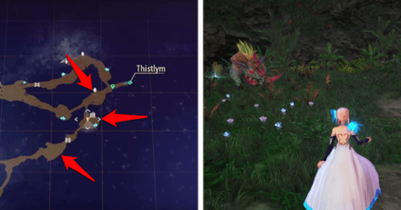 Tales of Arise Beyond the Dawn Wild Boars Location