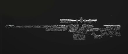 MW3 - Arachnida Victus XMR Camo