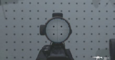 MW3 - Corio Eagleseye 2.5X Reticle View