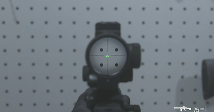 MW3 - Corio ELT-10 2.5X Reticle View