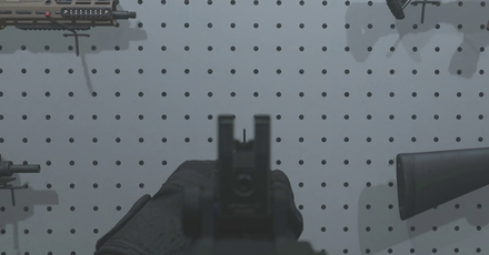 MW3 - TX4 Havoc Reticle View