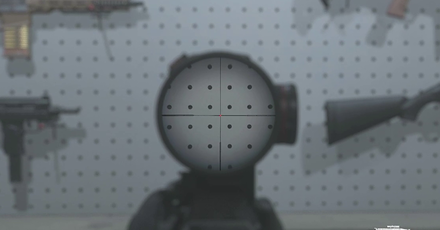 MW3 - DS Farsight 11 Reticle View
