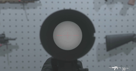 MW3 - Corvus Ghostview Reticle View