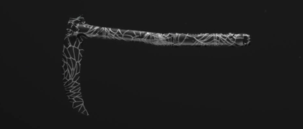 MW3 - Arachnida Dual Kamas Camo